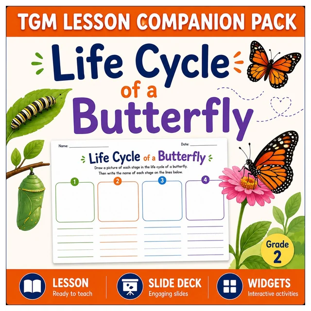 Exploring the Life Cycle of a Butterfly