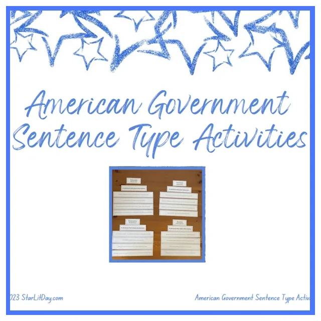 TWR - Types of Sentence - US  Government