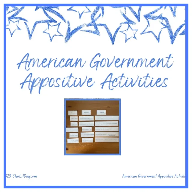 TWR - Appositives - US Government