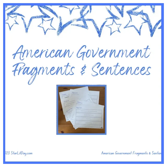TWR - Fragments & Sentences - US Government