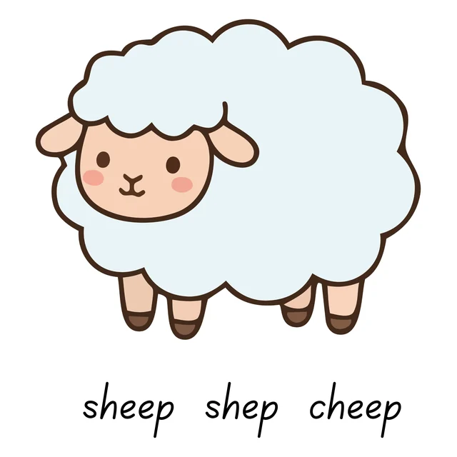 Grade 2 Spelling Program – Week 1 - Digraphs (sh, ch, th, wh, ph)
