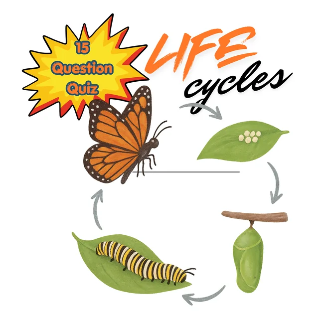Life Cycle Quiz – 15 Questions Multiple Choice Quiz with Images (Interactive + Printable)